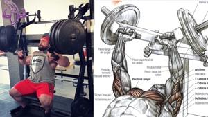 10 تمرین برای بزرگ و قوی ساختن عضلات پشت