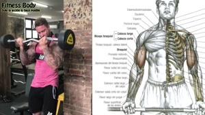 آموزش تمرین بدنسازی برای حجیم کردن بازو با زاک اسمیت
