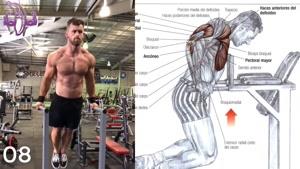 16 تمرین بدنسازی برای عضله سازی سینه