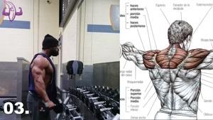 آموزش 9 تمرین برای عضلات پشت و سرشانه