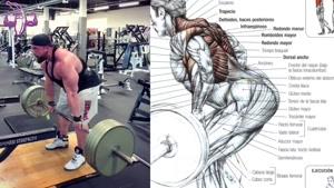 تمرین بدنسازی برای عضلات پشت و پا  