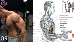 آموزش 10 تمرین برای قفسه سینه و بازو 