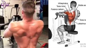 آموزش 8 تمرین برای تقویت عضلات پشت و زیر بغل