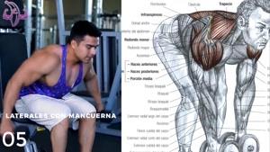 آموزش 8 تمرین متنوع بدنسازی برای عضلات سرشانه