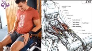 آموزش 10 تمرین بدنسازی برای عضلانی کردن پا و ران