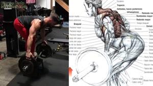 14 تمرین بدنسازی برای رشد عضلات کول