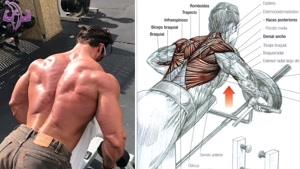 آموزش 9 تمرین برای تقویت عضلات پشت و کمر 
