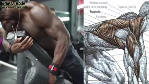 آموزش 12 تمرین بدنسازی برای عضلات پشت کمر و زیربغل