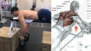 آموزش 8 تمرین بدنسازی برای عضلات پشت 