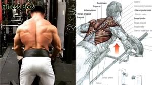 7 تمرین بدنسازی برای عضلات پشت و کمر