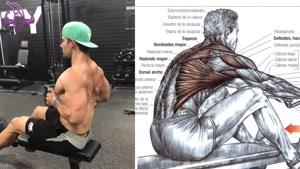 آموزش تمرینات بدنسازی برای عضلات زیر بغل و جلو بازو
