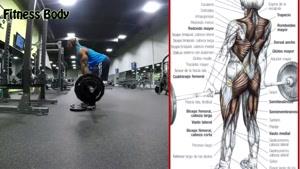 10 تمرین سخت برای عضلات پشت بدن و زیربغل