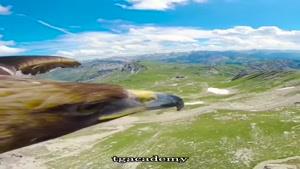 رشته کوه آلپ از نگاه یک عقاب.