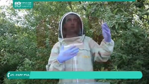 آموزش نحوه افزایش تعداد کندوهای زنبور عسل