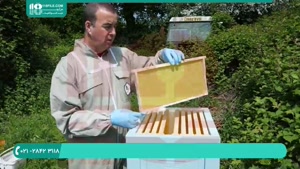 تجهیزات مورد نیاز و آموزش سر هم کردن کندو برای زنبورداری