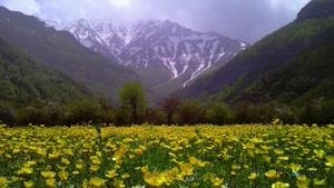 طبیعت زیبا و دیدنی  برای بازدید در ایران (شمال و غرب)