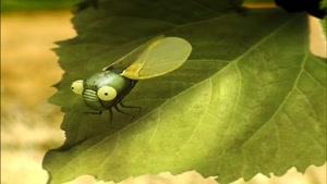 انیمیشن زندگی خصوصی حشرات فصل 1 قسمت چهارده