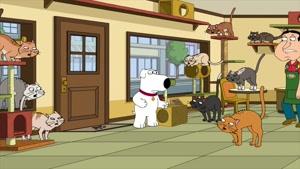 انیمیشن Family Guy فصل 18 قسمت پنج