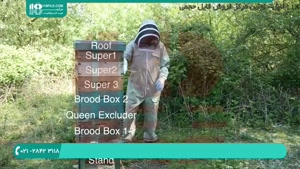 آموزش زنبورداری مدرن - مرتب سازی کندو های چند طبقه و بزرگ