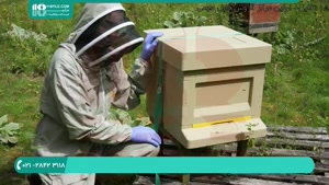 آموزش زنبورداری در ایران قسمت 1