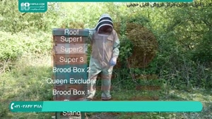 روش حرفه ای زنبورداری میلار