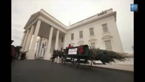 تزیین درخت کریسمس در کاخ سفید