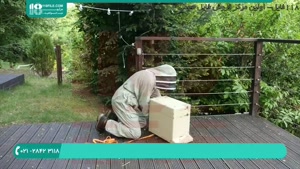 آموزش زنبورداری با روش های نوین
