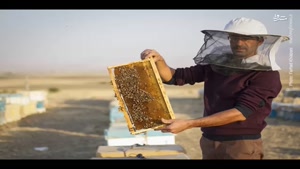 انواع عسل -عسل آويشن