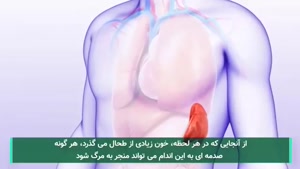 12 عضو از بدن که بدون آن هم  انسان زنده می ماند 