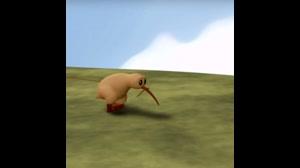 انیمیشن مفهومی Kiwi