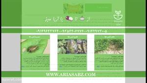 کشتن علف های هرز مزارع گندم با هاترا |  Hatra