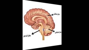 بازاریابی بیمه عمر