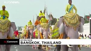 ادای احترام فیل‌بان‌های تایلند 