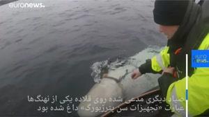 استفاده نظامی روسیه از نهنگهای سفید