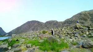 آهنگ محبت خواننده افغان قیس آرین و گلرخسار