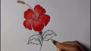 نقاشی گل با مداد رنگی