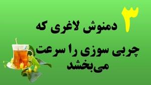 دمنوشهایی لاغری