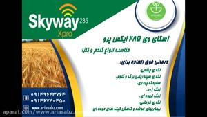 پایانی بر بیماری های مزارع گندم با اسکای وی 285 ایکس پرو | Skyway xpro