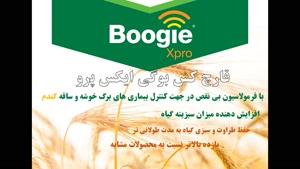 بوگی ایکس پرو |  Boogie xpro مبارزی تمام عیار در برابر آفات گندم