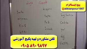 آموزش زبان ترکی استانبولی در 2ماه( با استاد 10 زبانه) 