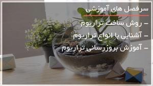 ترفندهای ساخت باغ شیشه ای