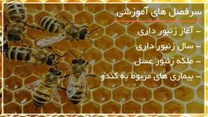 آموزش پرورش زنبورعسل