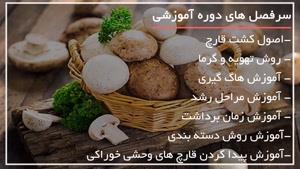 آموزش پرورش قارچ - قارچ های خوراکی