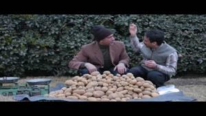 مراحل افزایش قیمت سیب‌زمینی در ایران  😁😂