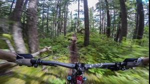 کلیپی زیبا از هیجان دوچرخه سواری در جنگل رویایی