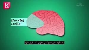 نماشا - اگر تعلل بسیار زیادی در کارها داشته باشید، چه اتفاقی می افتد؟