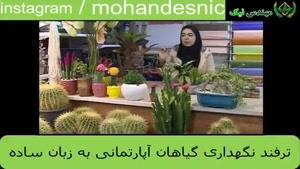 ترفندهای نگهداری از گیاهان آرتمانی