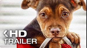 تریلر فیلم سینمایی مسیر بازگشت یک سگ به خانه 2019