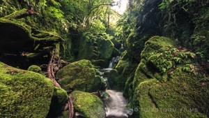 فیلم  از طبیعت زیبا  و  آرام بخش نیوزلند