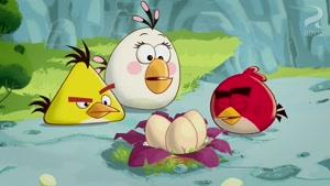 دانلود انیمیشن پرندگان خشمگین فصل اول قسمت پنجم